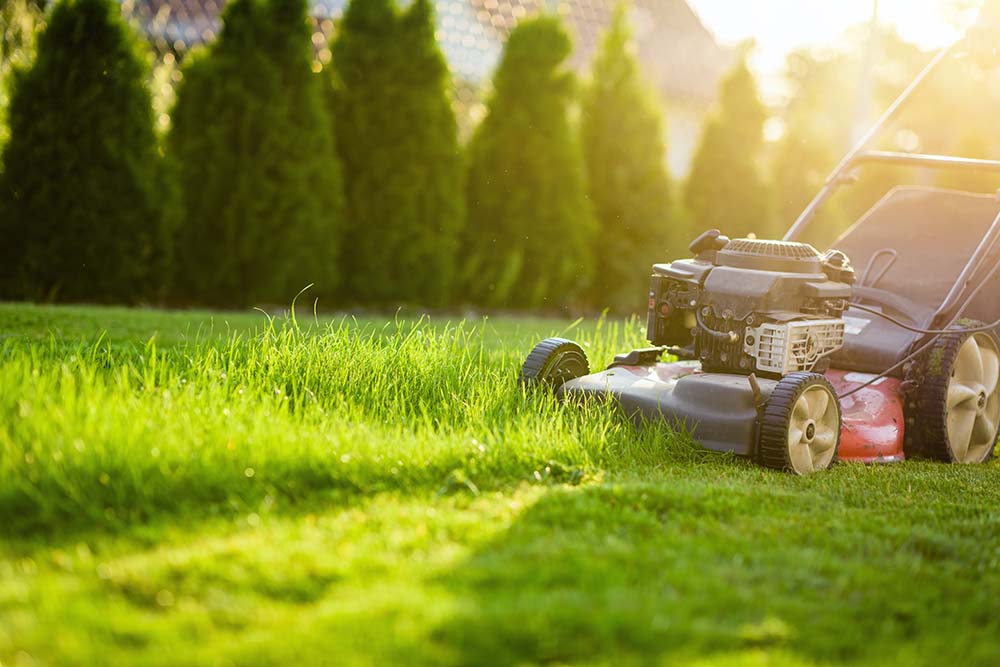 Lawn Care Utah County